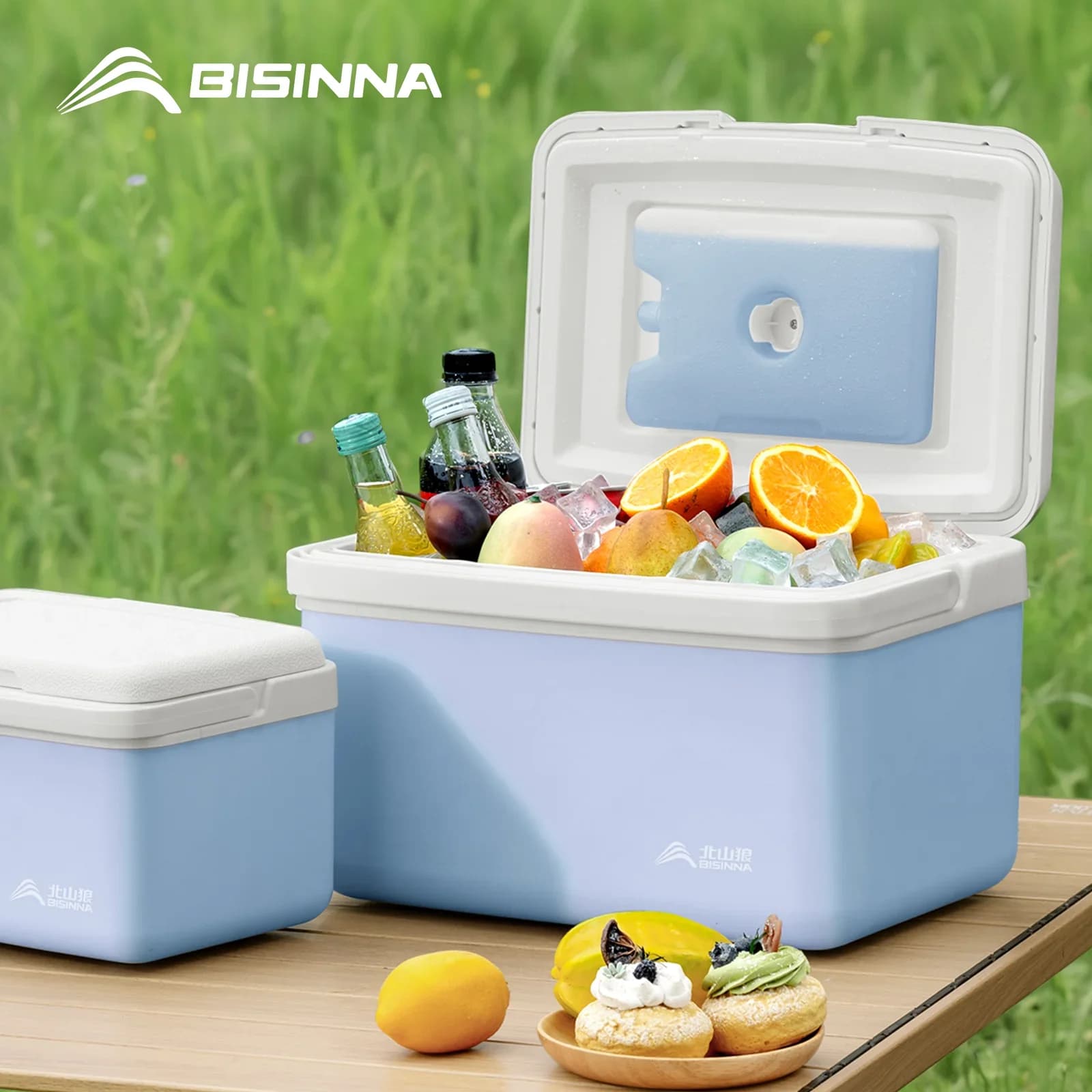 BISINNA Camping-Kühlbox 6L/9L/15L tragbare Kühlbox für Angeln, Auto-Kühlschrank, Outdoor, Strand, Angeln, Picknick, Grill, Eisbox