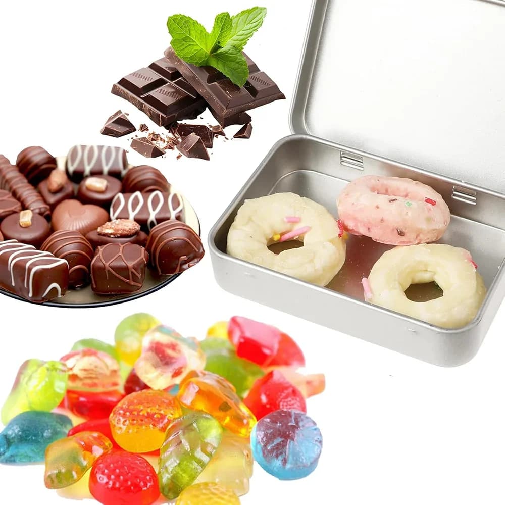 6 Stk. Metall-Dosenbox mit Scharnier, Mini tragbarer kleiner Aufbewahrungsbehälter mit Deckel für Zuhause, Bonbon- und Bastel-Organizer